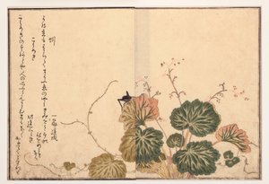 Lombriz de tierra y grillo negro, 1788 de Kitagawa Utamaro